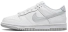 Details for 【カスタムシューズ】ナイキ ダンク ロー 'アークティック グレー-ホワイト' DH9765-102(TeamK-北极)