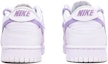 Purchase 【カスタムシューズ】ナイキ ダンク ロー '分解二重シューレース - 白ピンク紫' DH9765-100(TeamTen-女款梦幻粉紫)