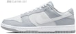 나이키 덩크 로우 레트로 '카키 그레이 천칭자리' (Nike Dunk Low Retro 'Khaki Grey Libra') DJ6188-003(Team拾玖-天秤座男S-BOX)