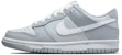 나이키 덩크 로우 레트로 '실버 그레이 발레' (커스텀) DJ6188-003(Team53-男款纯爱旋律)