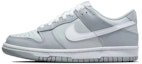 Details for 나이키 덩크 로우 레트로 '실버 그레이 발레' (커스텀) DJ6188-003(Team53-男款纯爱旋律)