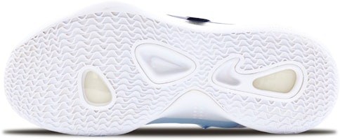 【カスタムシューズ】ナイキ ハイパーダンク X 『エネルギー ブルー コート』 AR0465-100(Team157-活力球场) Details for 【カスタムシューズ】ナイキ ハイパーダンク X 『エネルギー ブルー コート』 AR0465-100(Team157-活力球场)