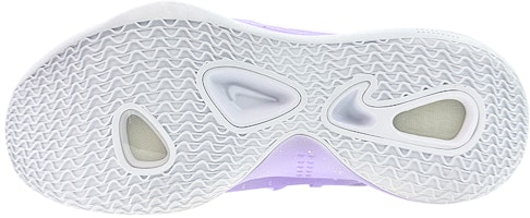 나만의 커스텀 나이키 하이퍼덩크 X 로우 '주스 퍼플' AR0465-100(Team76-男款果汁紫) Purchase 나만의 커스텀 나이키 하이퍼덩크 X 로우 '주스 퍼플' AR0465-100(Team76-男款果汁紫)