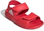 Lookbook (Tahap Sekolah) adidas Altaswim 'Scarlet' Kanak-kanak EG2136
