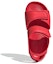 Purchase (Tahap Sekolah) adidas Altaswim 'Scarlet' Kanak-kanak EG2136