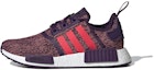 Buy (Kanak-Kanak) adidas NMD_R1 'Legend Purple Shock Red' F34421