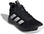 (Kanak-Kanak) adidas Own The Game 2.0 'Hitam Putih' H01558