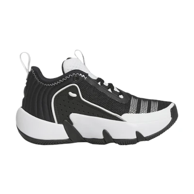 (GS) adidas Trae Unlimited Little Kid 'Black White'