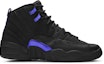 Buy (大童款) Air Jordan 12 复刻 '深紫' DH0905-005