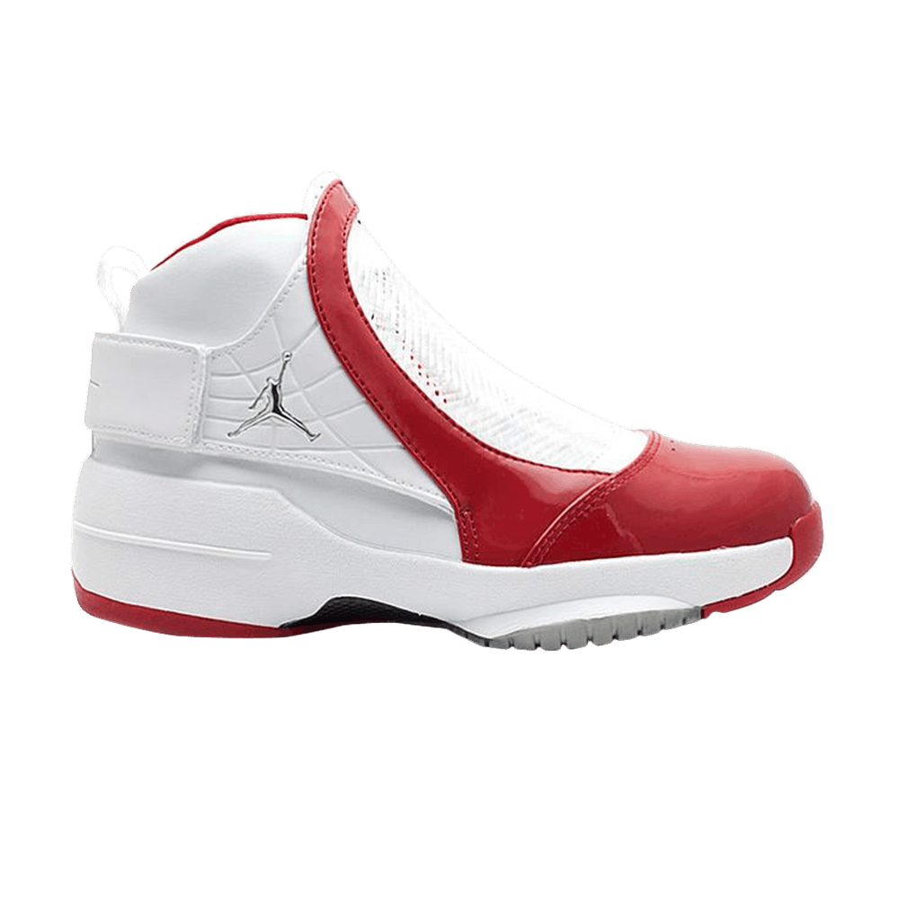 (Grade School) Air Jordan 19 OG 'Midwest' 307547-101