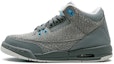 Buy (Kanak-kanak) Air Jordan 3 Retro 'Cool Grey Blue Glow' 441140-015