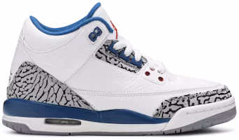 (Grade School) Air Jordan 3 Retro 'True Blue' 2011 398614-104