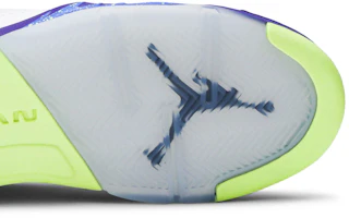 Details for (Año Escolar) Air Jordan 5 Retro 'Alternate Bel-Air' DB3024-100