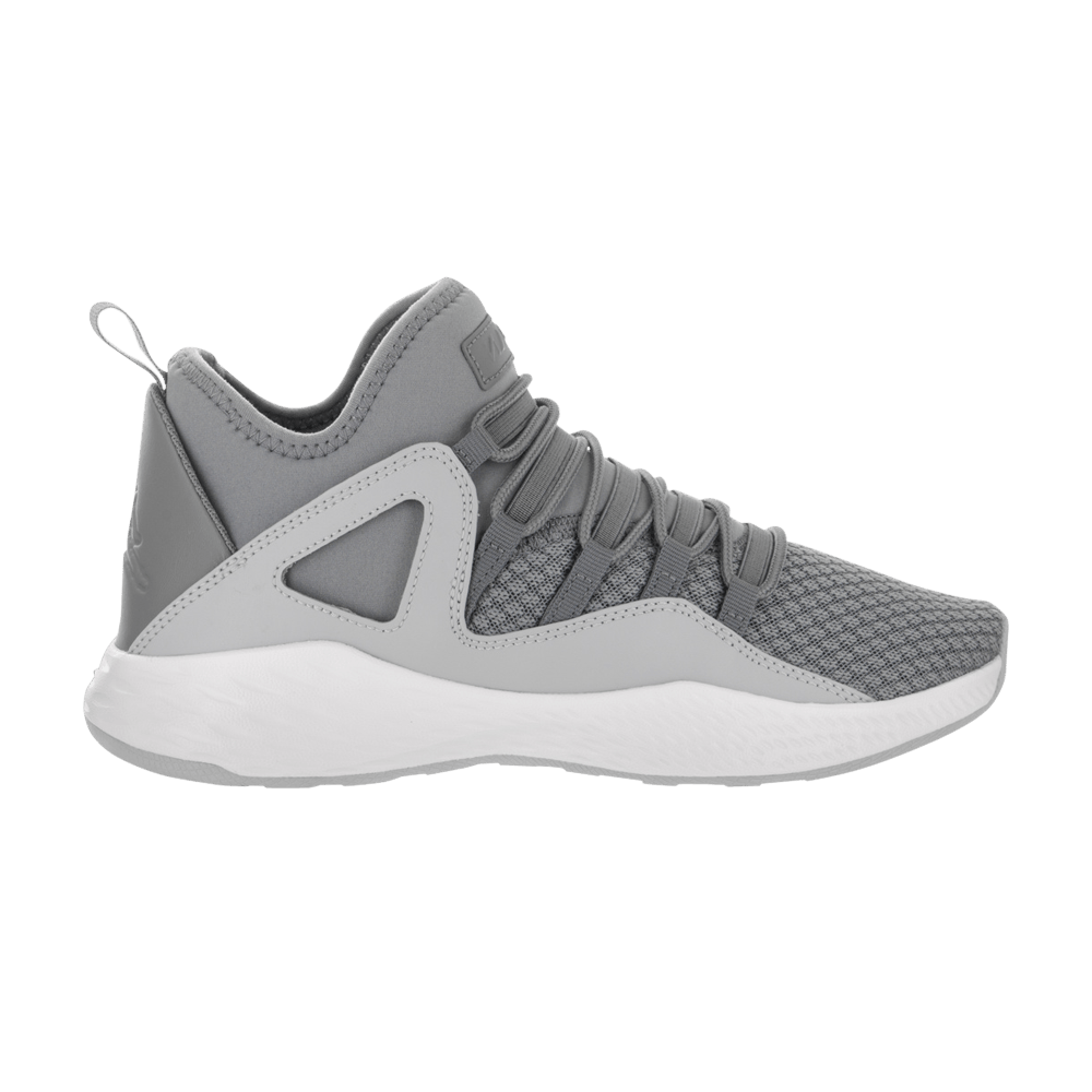 (Grade School) Air Jordan Formula 23 BG 'Cool Grey' 881468-003