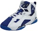 Order (Kanak-Kanak Sekolah) Air Jordan True Flight 'Deep Royal' 343795-116
