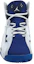 Lookbook (Kanak-Kanak Sekolah) Air Jordan True Flight 'Deep Royal' 343795-116