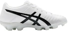 Order (Grade School) ASICS DS Light 3 ''Wit Zwart'' 1104A002-103