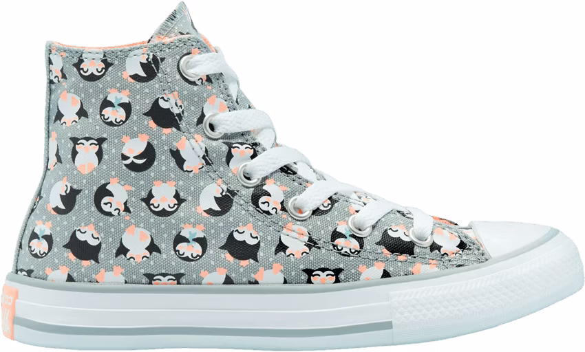 converse-chuck-taylor-all-star-high-tundra-print-gs