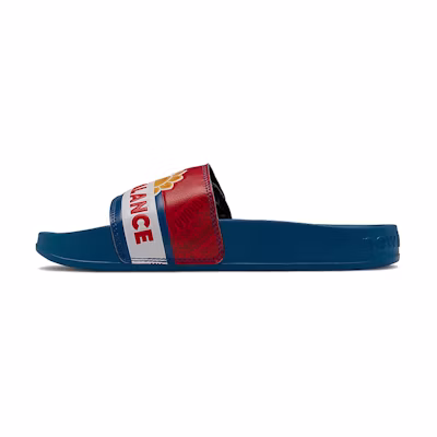 (GS) David Sunflower Seeds NB 200 Slides 'Blue'