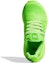 Purchase (Kanak-kanak) Ivy Park x adidas UltraBoost 19 'Halls Of Ivy' GY9784