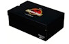 Sizing (Kanak-Kanak) Jurassic Park x Reebok Zig Dynamica Alt 'Night Vision Goggles' GX8144