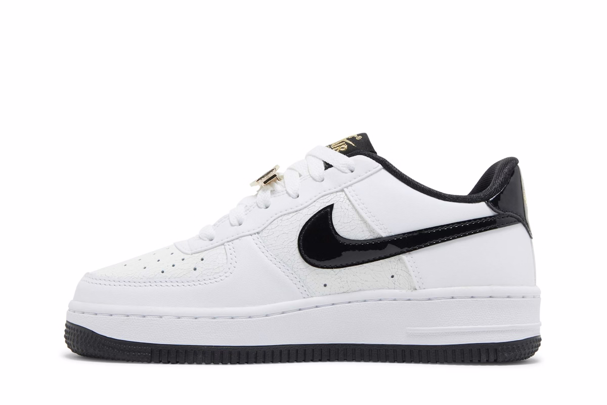(Grade School) Nike Air Force 1 Low '07 LV8 'World Champ' DQ0300-100