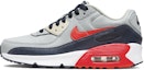 Buy (小童款) Nike Air Max 90 皮革鞋 '浅烟灰亮深红' CD6864-021