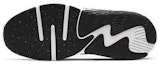 Details for (Grade School) Nike Air Max Excee D2N 'Hitam Laser Chrome' CJ2002-100