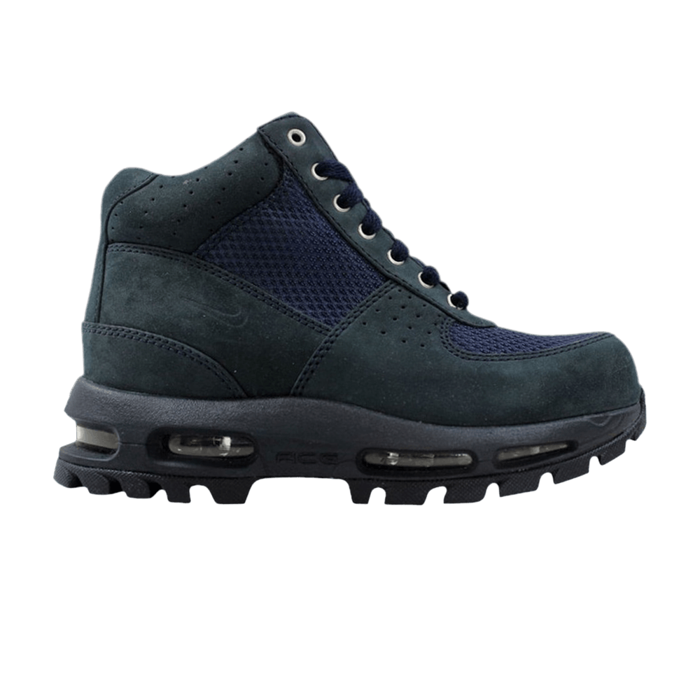 (Grade School) Nike Air Max Goadome 'Dark Obsidian' 311567-401