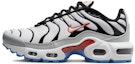 Buy (小學年級款)Nike Air Max Plus '白金黑紅' CD0609-109