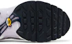 Purchase (Grade School) Nike Air Max Plus 'Pure Platinum Violet Frost' CD0609-108