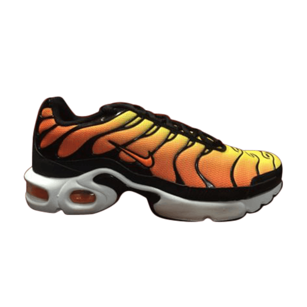 (Grade School) Nike Air Max Plus 'Sunset' 655020-781