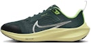 Buy (Grade Sekolah) Nike Air Zoom Pegasus 40 'Deep Jungle' DX2498-301