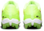 Purchase GS ナイキ アルファハラチ4 キーストーン "ゴーストグリーン" DJ6525-300