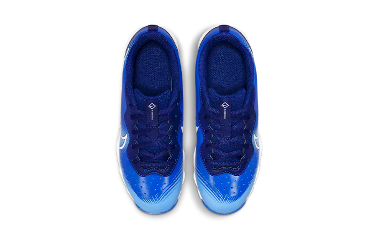 Shop (Niedrige Klasse) Nike Alpha Huarache 4 Keystone ''Hyper Royal'' DJ6525-414