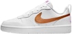 (Kanak-kanak) Nike Court Borough Low 2 SE 'Putih Tembaga Metalik' DQ5979-100