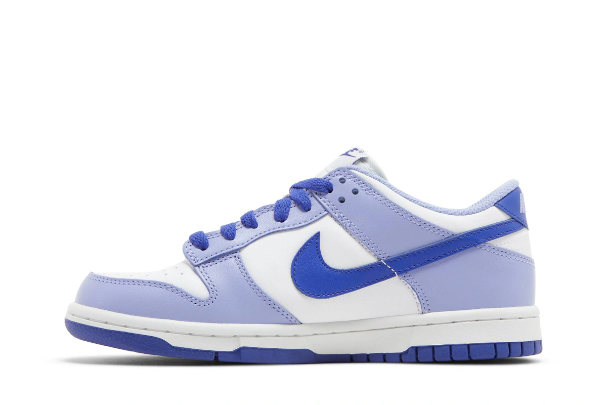 (Grade School) Nike Dunk Low 'Blueberry' DZ4456-100