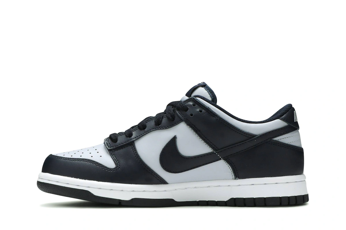 (Grade School) Nike Dunk Low 'Georgetown' CW1590-004