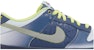 (Kanak-Kanak) Nike Dunk Low 'Halloween - Saya Tidak Takut!' FQ8354-491