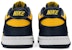 (Nilai Sekolah) Nike Dunk Low 'Michigan' 2021 Kanak-Kanak CW1590-700