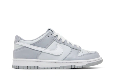 (Grade School) Nike Dunk Low 'Two-Toned Grey' DH9765-001