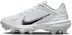 (Kanak-Kanak) Nike Force Trout 8 Pro MCS 'Putih Kelabu Serigala' CZ5912-100