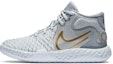 Buy (Nilai Sekolah) Nike KD Trey 5 VIII 'Perak Emas Metalik' CT1425-006