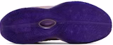 Shop (Grade School) Nike LeBron 21 'Purple Rain' Kanak-Kanak FZ7189-500