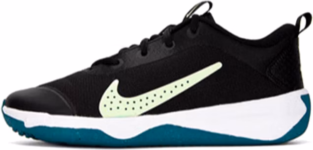 nike-omni-multi-court-black-bright-spruce-gs