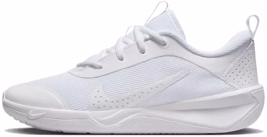 (Grade School) Nike Omni Multi-Court 'White Pure Platinum' DM9027-100 (Grade School) Nike Omni Multi-Court 'White Pure Platinum' DM9027-100