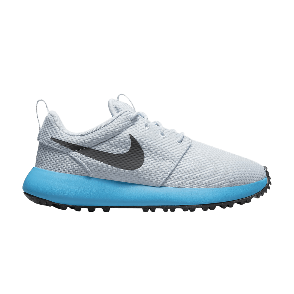 (Grade School) Nike Roshe 2 Golf 'Grey Blue Lightning' DZ6895-004