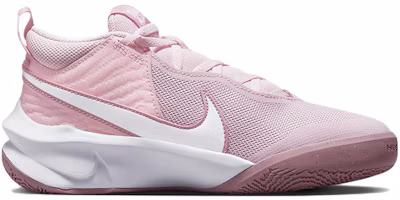 Order (Grade School) Nike Team Hustle D10 'Pink Foam' CW6735-601