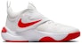(Nilai Sekolah) Nike Team Hustle D11 'Summit White Track Red' DV8996-102