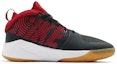 Order (Kanak-Kanak) Nike Team Hustle D9 'Kelabu Gelap Emas' AQ4224-011